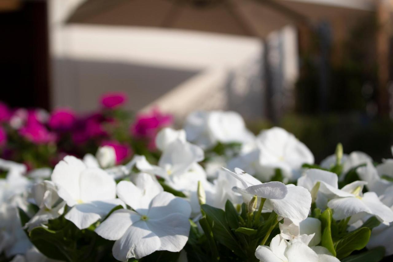 Relais Villa Montedonzelli Neapol Zewnętrze zdjęcie