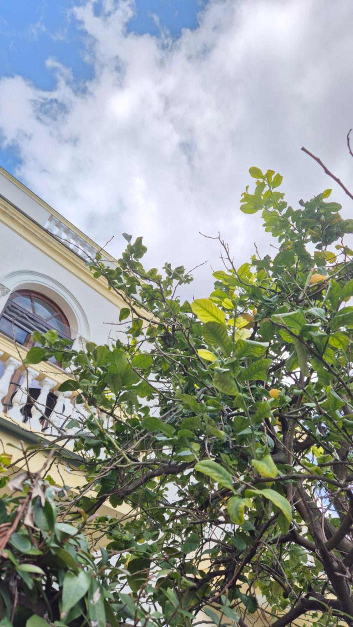 Relais Villa Montedonzelli Neapol Zewnętrze zdjęcie